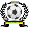 https://img.gdszh.com/img/football/team/6dc6d59af2f0962597b412473a6708ee.png