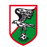 https://img.gdszh.com/img/football/team/e6a8908dd206e2ea02d9803c82c60bba.png